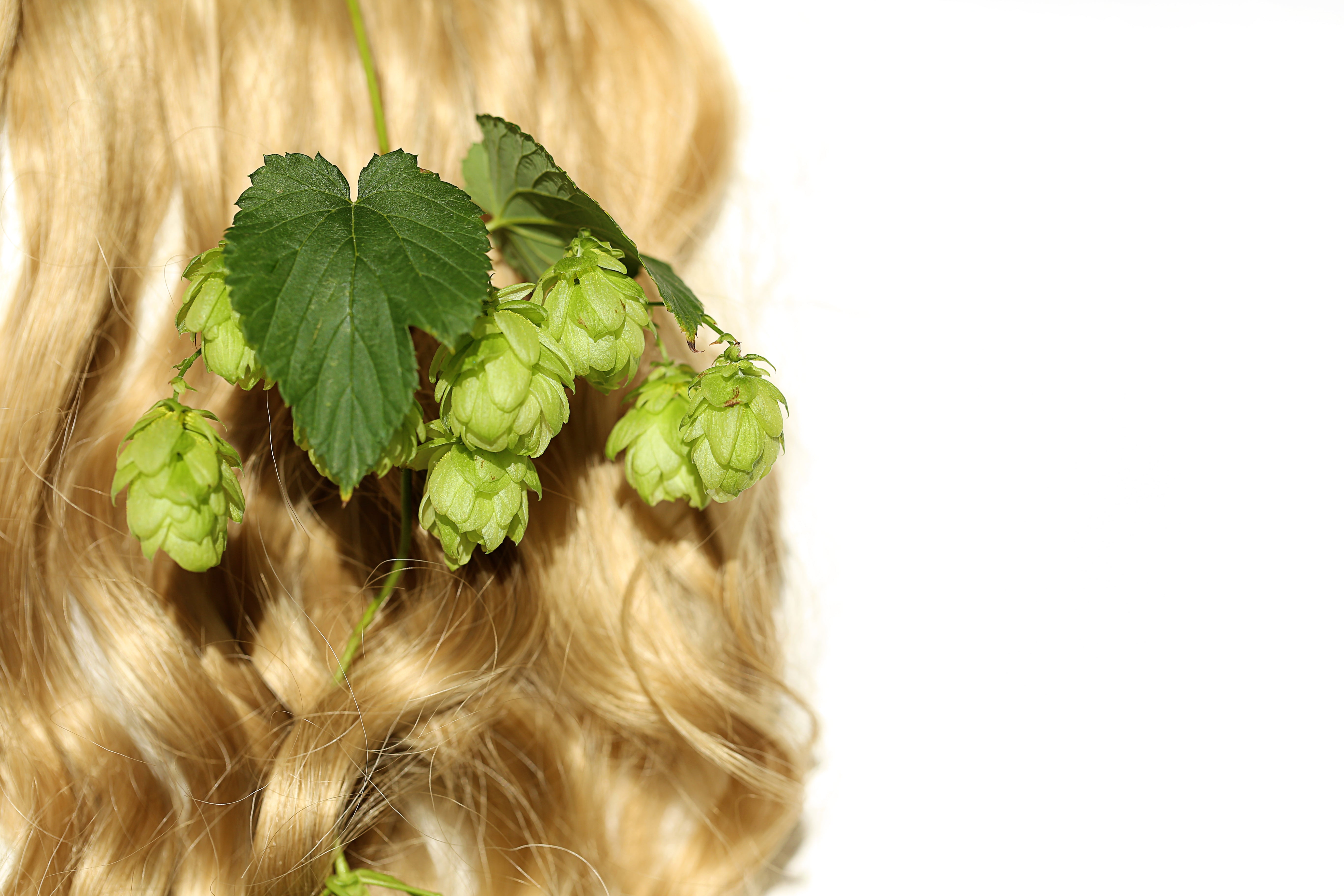 Nurturing Your Tresses: The Vital Role of Organic Hair Care Products